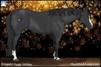Horse Color:Black Sabino 