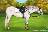 Horse Color:Smoky Creme Roan