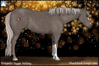 Horse Color:Silver Black 