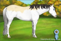 Horse Color:Buckskin Dun Splash 