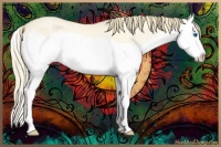Horse Color:Perlino Dun Splash 