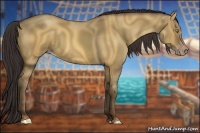 Horse Color:Sable Champagne Dun 