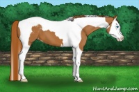 Horse Color:Chestnut Splash Tobiano Varnish 