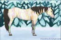 Horse Color:Buckskin Ice Sabino 