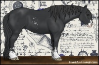 Horse Color:Black Sabino