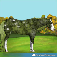 Horse Color:Watercolor Liver Chestnut Ice Sabino 