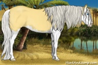 Horse Color:Silver Buckskin Roan Dun Splash 