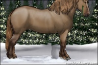 Horse Color:Liver Red Dun 