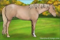 Horse Color:Chestnut Pearl Frame