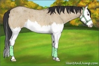 Horse Color:Bay Roan Dun Splash 