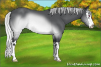 Horse Color:Silver Brown Chinchilla Splash 