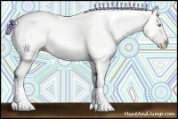 Horse Color:White Spotted Gold Cream Champagne 