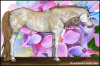 Horse Color:Gray Liver Red Dun Pearl Sabino Splash Tobiano
