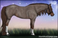 Horse Color:Liver Red Roan 