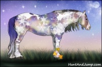 Horse Color:Nacre Liver Red Onyx Ice Sabino Splash Tobiano 