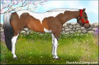 Horse Color:Bay Tobiano
