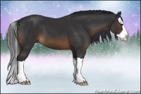 Horse Color:Brown Splash