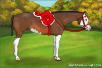Horse Color:Bay Splash 