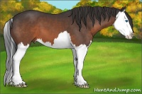 Horse Color:Brown Splash 
