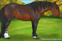 Horse Color:Brown Sabino