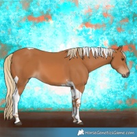 Horse Color:Chestnut Tobiano