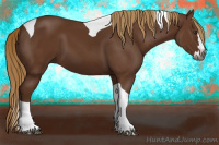 Horse Color:Gray Chestnut Splash Tobiano 