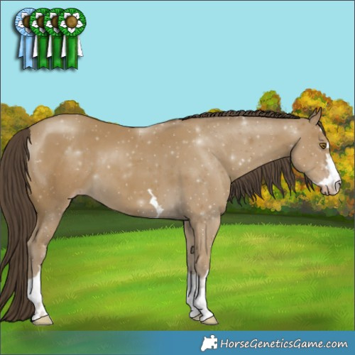 Horse Color:Classic Cream Champagne 