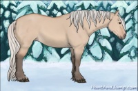 Horse Color:Silver Bay Dun 