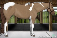 Horse Color:Liver Red Dun Tobiano 