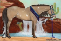 Horse Color:White Spotted Sable Champagne 