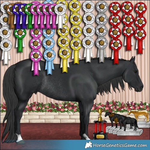 Horse Color:Black Rabicano 