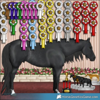 Horse Color:Black Rabicano 