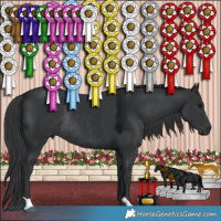 Horse Color:Black Rabicano 