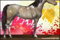 Horse Color:Gray White Spotted Brown Pearl Dun Sabino 