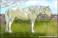 Horse Color:Watercolor White Spotted Silver Sable Champagne Tobiano 