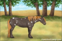 Horse Color:Painted White Spotted Silver Black 