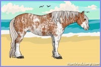 Horse Color:White Spotted Silver Bay Dun  and Silver Bay Sabino 