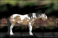 Horse Color:White Spotted Brown Dun Tobiano 