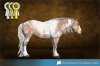 Horse Color:White Spotted Silver Bay Dun Sabino