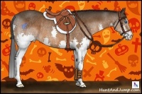 Horse Color:Brown Splash Rabicano