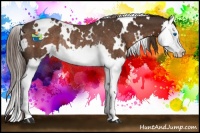 Horse Color:White Spotted Liver Chestnut Splash Varnish Rabicano 
