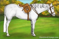 Horse Color:Silver Bay Pearl Dun Near Fewspot Rabicano