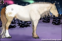 Horse Color:Buckskin Ice Pearl Snowcap 