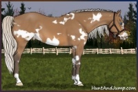 Horse Color:White Spotted Silver Bay Frame 