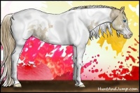 Horse Color:White Spotted Liver Chestnut Ice Pearl Splash Tobiano 