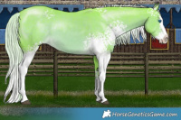 Horse Color:Watercolor White Spotted Chocolate Palomino Mushroom Splash 