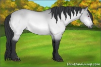Horse Color:Brown Chinchilla Dun 