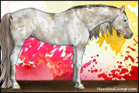 Horse Color:Gray White Spotted Liver Red Dun Ice Pearl Sabino Splash Rabicano 