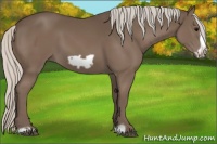 Horse Color:Silver Black Frame