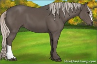 Horse Color:Silver Black 